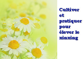 Image for article Europe : Après avoir lu les articles du Fahui de Minghui, des pratiquants occidentaux partagent leurs réflexions