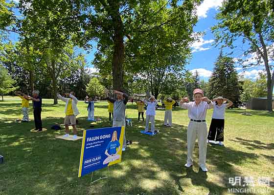 Image for article « C'est ce que tout le monde recherche »