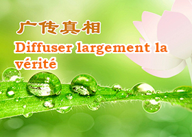 Image for article Les gens respectent Dafa après avoir appris la vérité