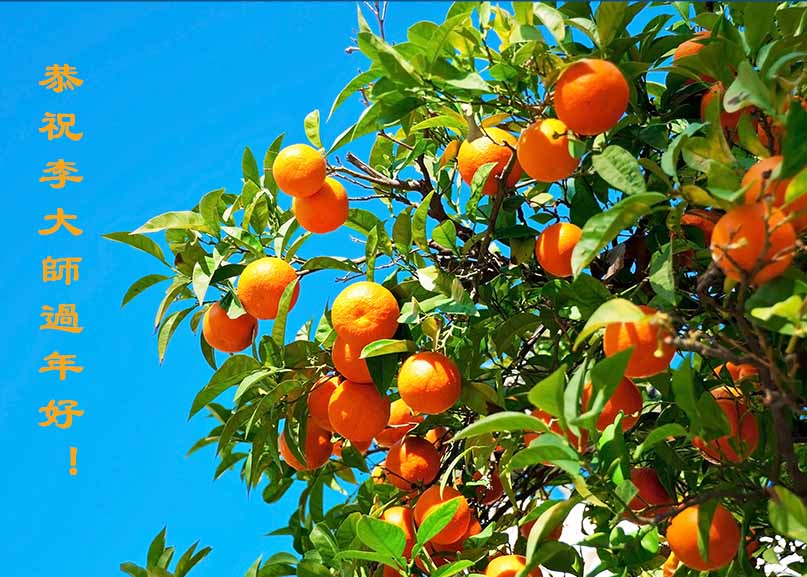 Image for article Gratitude de la part des membres des familles des pratiquants de Falun Dafa