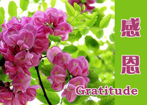 Image for article Se souvenir d’avoir de la gratitude