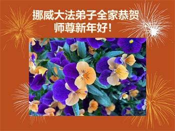 Image for article Les pratiquants de Falun Dafa du Danemark, de la Suède, de la Norvège et de la Finlande souhaitent respectueusement au vénérable Maître Li Hongzhi un bon Nouvel An chinois ! 
