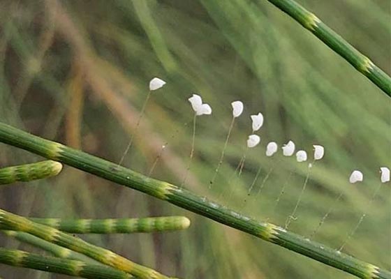 Image for article Taïwan : Un garçon espiègle devient bien élevé après avoir regardé des vidéos de Shen Yun