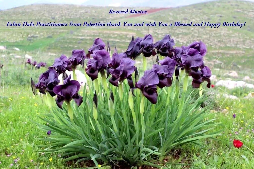 Image for article Les pratiquants de Falun Dafa du Cambodge, du Laos et de Palestine célèbrent la Journée mondiale du Falun Dafa et souhaitent respectueusement au vénérable Maître un joyeux anniversaire