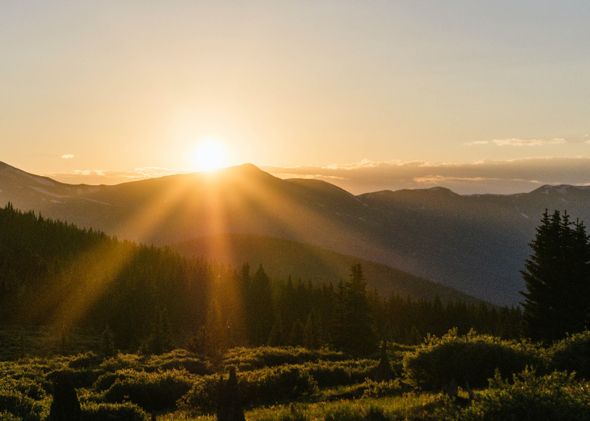 Image for article Le Maître illumine mon chemin