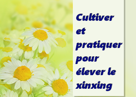 Image for article Il est important que les pratiquants de Falun Dafa consultent régulièrement Minghui.org