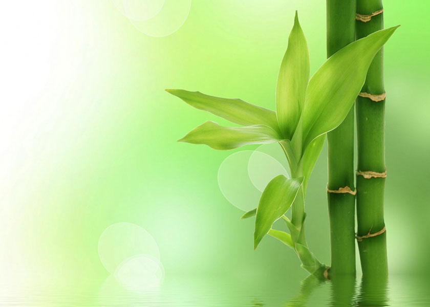 Image for article Sidération