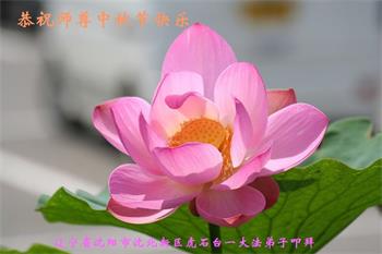 Image for article Les pratiquants de Falun Dafa de la ville de Shenyang souhaitent respectueusement au vénérable Maître Li Hongzhi une joyeuse fête de la Mi-Automne ! (21 vœux)