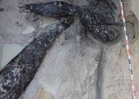 Image for article Découverte en Zambie d’une structure en bois datant de 476 000 ans