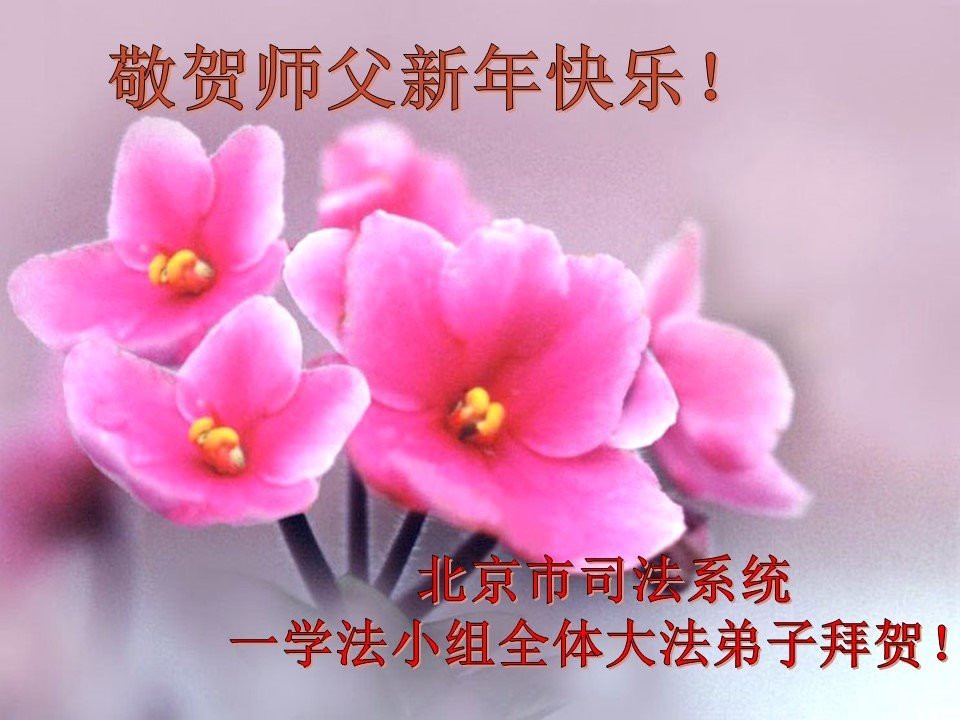 Image for article Les pratiquants de Falun Dafa et les symphatisants qui travaillent dans le système judiciaire chinois souhaitent une bonne année au vénérable Maître Li Hongzhi