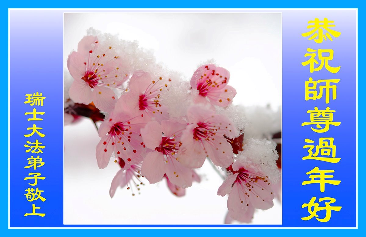 Image for article Les pratiquants de Falun Dafa du Royaume Uni, des Pays-Bas, d’Allemagne et de Suisse souhaitent respectueusement à Maître Li Hongzhi un bon Nouvel An chinois !